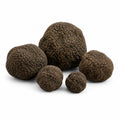 Trufas negras frescas enteras – Tuber aestivum Categoría EXTRA