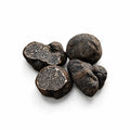 Cuatro trufas negras lisas frescas Tuber macrosporum seleccionadas para uso culinario de categoría A
