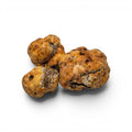 Whole fresh Tuber borchii EXTRA Grade truffles selected in approximately 15–50 g individual sizes