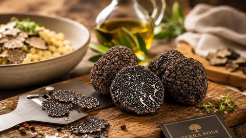 Guía de la trufa negra: Tuber melanosporum, temporada, aroma y usos