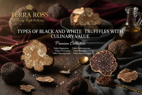 The Ultimate Guide to Black and White Truffles