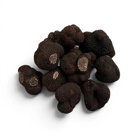 Trufas negras chinas – Tuber indicum