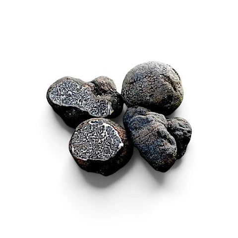 Trufas negras lisas – Tuber macrosporum