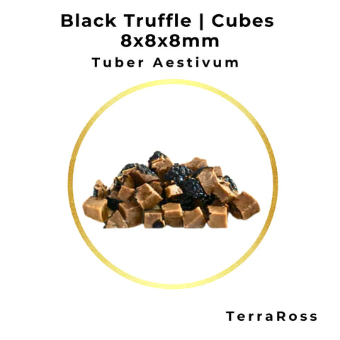 Cubos de trufa negra de verano de 8 × 8 × 8 mm en salmuera