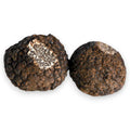 Trufa negra fresca - Tuber indicum (Categoría B) Terra Ross