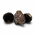 Trufas frescas Tuber mesentericum Bagnoli seleccionadas como grado B