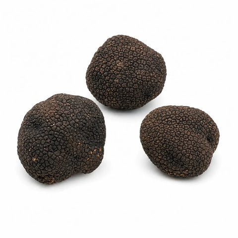 Trufas frescas de Borgoña – Tuber uncinatum A Grade
