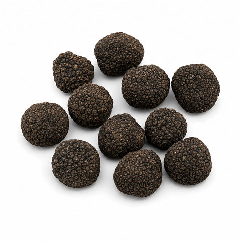 Trufas frescas de Borgoña – Tuber uncinatum Grado B