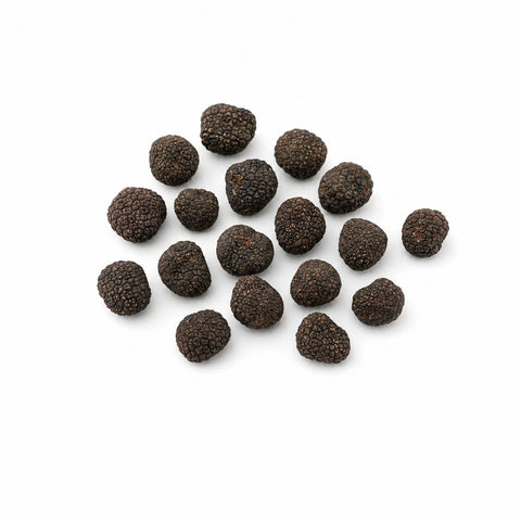 Trufas frescas de Borgoña – Tuber uncinatum C Grado