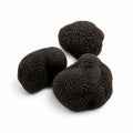 Trufas frescas enteras de Borgoña – Tuber uncinatum Categoría EXTRA