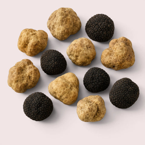 Selección de trufas europeas frescas enteras, negras y blancas