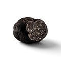Tuber macrosporum fresco Trufa negra lisa de grado B con interior marmoleado