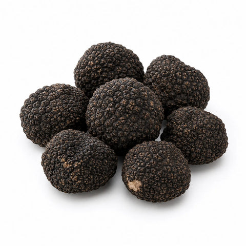 Trufas negras frescas de verano – Tuber aestivum Grado A