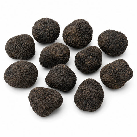 Trufas negras frescas pequeñas de verano – Tuber aestivum grado B  