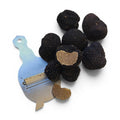 Fresh Tuber aestivum A Grade truffles showing whole specimens, a naturally cut interior and a truffle slicer