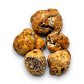 Whole fresh Tuber borchii A Grade truffles selected in approximately 8–20 g individual sizes