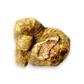 Grandes trufas blancas frescas Tuber magnatum que muestran el color exterior natural y el veteado interno original