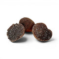 Whole fresh Tuber melanosporum specimens showing natural A Grade variation