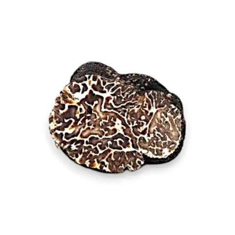 Fresh Winter Tuber Brumale Truffle slice with intricate white veining and natural texture