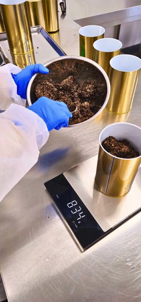 Preparación de productos de trufa de verano para el suministro a restaurantes y productores de alimentos