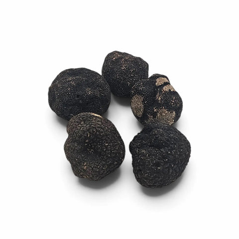 Trufas negras de invierno Tuber brumale enteras y cortadas, que muestran superficies oscuras naturalmente rugosas e interiores marmoleados