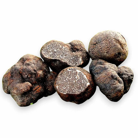 Close view of Tuber macrosporum truffles with smooth dark surfaces and marbled interiors